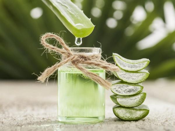 How to make aloe vera gel