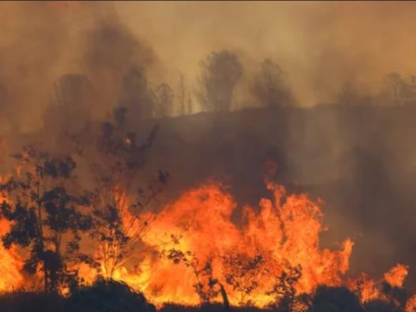 野火在土耳其西部爆发